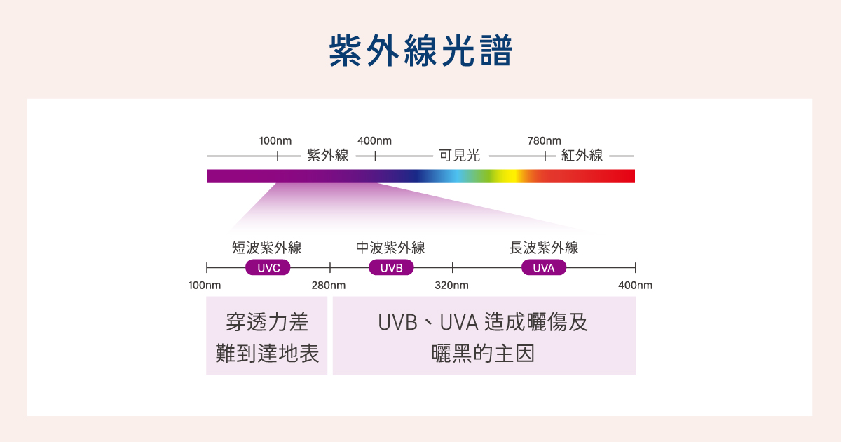 曬傷-紫外線光譜(UVB、UVA)